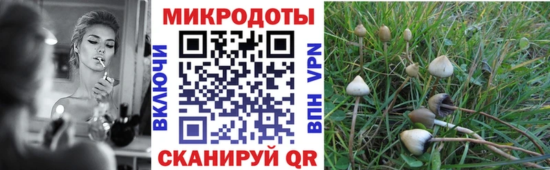 Псилоцибиновые грибы MAGIC MUSHROOMS  Суздаль 